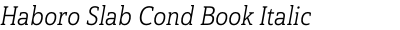 Haboro Slab Cond Book Italic